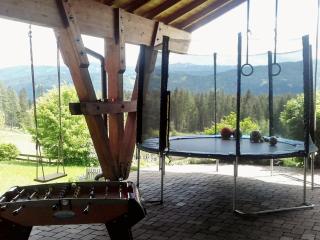 LANDHAUS Pichler - Mariapfarr - 3