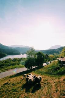 Gjerdset Turistsenter - 3