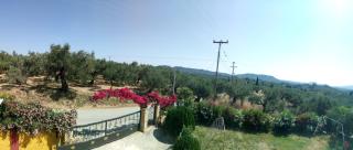 Happy Owl Village - Zakynthos - 8
