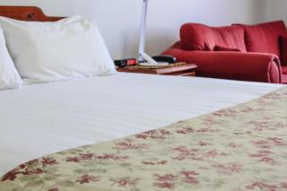 Maynestay Motel - Gunnedah - 1