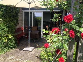 Ferienhaus am Litzelberg FWO-194-2024 - Radolfzell am Bodensee - 1