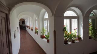 Palazzo Cusani - Solopaca - 4