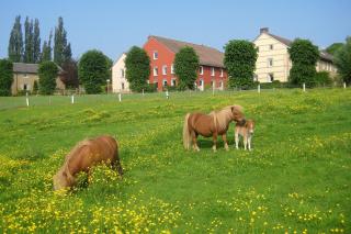Bungalowpark Landsrade - Gulpen - 8