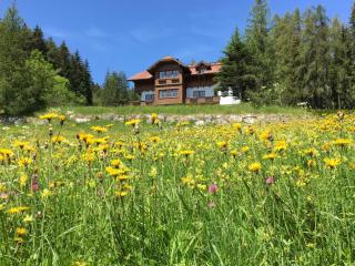 Landhaus Birgbichler - Apartments in Ramsau am Dachstein - inklusive Sommercard! - 1