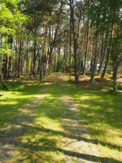 Camping Anastazja - Międzywodzie - 0