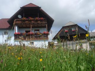 Rettlhof - Sankt Peter am Kammersberg - 9