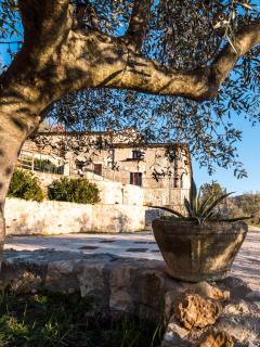 Il Becco Felice - Arpino - 2