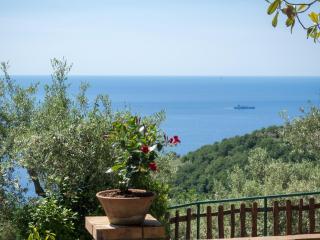 Casa Il Negrito - Massa Lubrense - 1