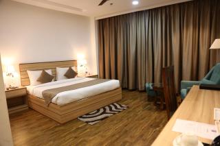 Ana Clarks Inn - Chandīgarh - 8