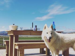 Akurgerði Guesthouse 8 - Country Life Style - 4