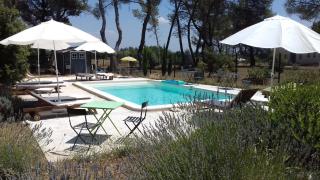 La Coudoulière - Saint-Rémy-de-Provence - 7