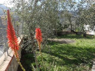 Casetta tra gli Ulivi vicina al Mare - Giustenice - 1