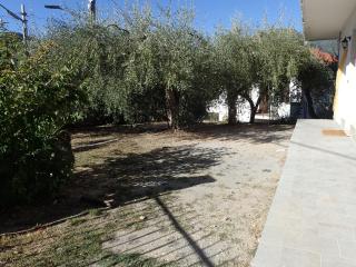 Casetta tra gli Ulivi vicina al Mare - 6