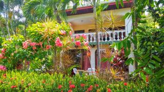 Pacific Jungle Condominium - Playa Hermosa - 5