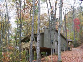 The Sassafras Breeze - Topton - 1