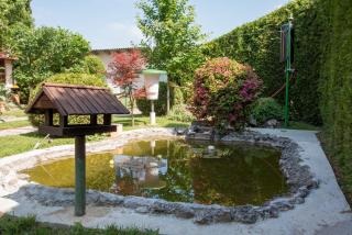 Sobe Dario - Daruvar - 3