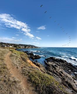 Sand Pebbles Inn - Cambria - 5