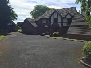 Tudor Lodge Guest Accommodation - Bunratty - 0