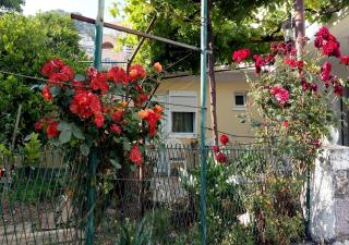 Apartman Lora - Budva - 3