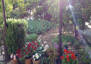 Apartman Lora - Budva - 4