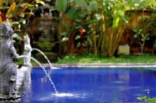 Long Lane Bali Villa - Ubud - 8