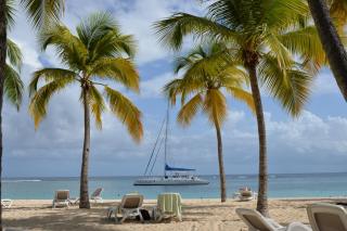 Cotton residences - Sainte-Anne - 0