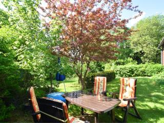 Cozy Apartment in Braunlage near Forest - Hohegeiss - 9