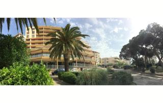 T2 Terrasse Vue Mer - Route des Sanguinaires - Ajaccio - 1