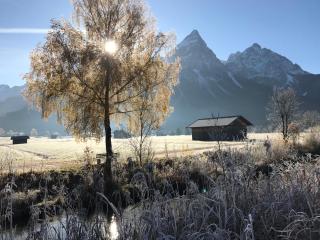 Schneehaus Lodge - Ehrwald - 9