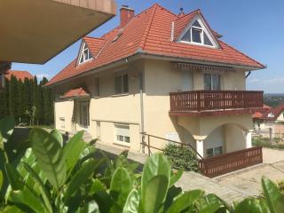 Voyage Apartments - Hévíz - 0