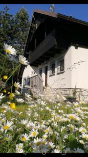 River house HRIB - 9