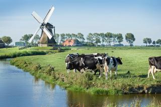 Bed and Breakfast Joarum - 3