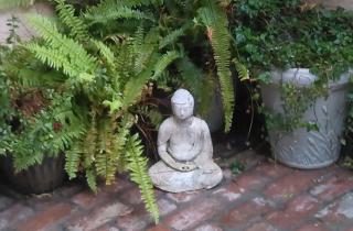 "California Dreamin' - 8