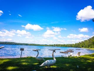 Sventes Rasa - Kaķīši - 4