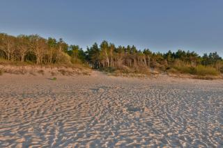 Polanki- Apartments M&M, NATURA - Kołobrzeg - 9