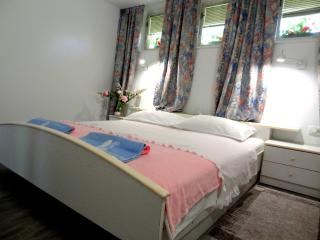 Apartma AS - Lesce - 1