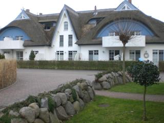 Meer and Mehr - Zingst - 1