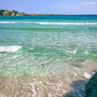 La Casetta di Tiziana - Pulsano - 2