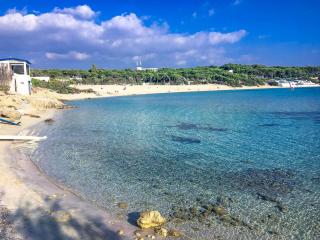 La Casetta di Tiziana - Pulsano - 3
