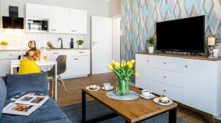 Vistula Boutique Exclusive Apartments - Krakow - 9