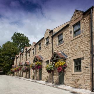 Black Horse Beamish - Stanley - 2