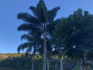 Chalé Dei Fiori, 3QTS, Ambiente Ideal para a família - 3