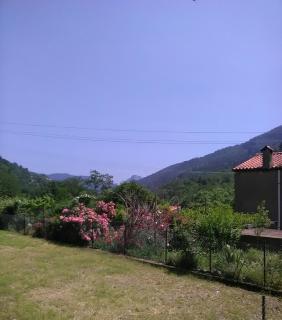 Il Martello - 9