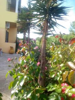 Chrysanthi Melitsa apts. - Sidari - 3