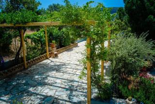 Marianna Cottage - Palaia Fokaia - 3