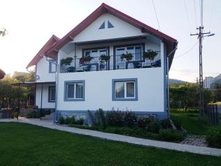 Floare de colt - 9