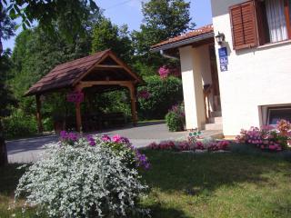 Guesthouse Hodak - Selište Drežničko - 6