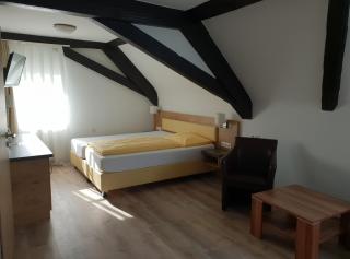 ZUM ZIEL Hotel & Restaurant Grenzach-Wyhlen bei Basel - Grenzach-Wyhlen - 2