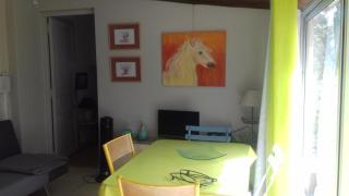 Les grands pins - Saint-Andiol - 4