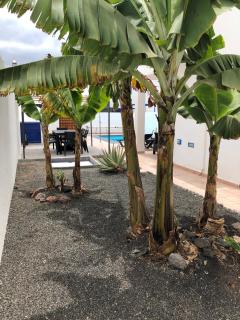 Villa Danko - Playa Blanca - 2